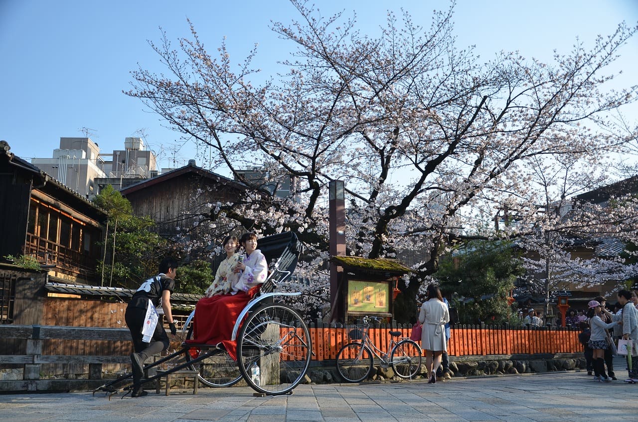 観光地京都の、見せる美しさ
